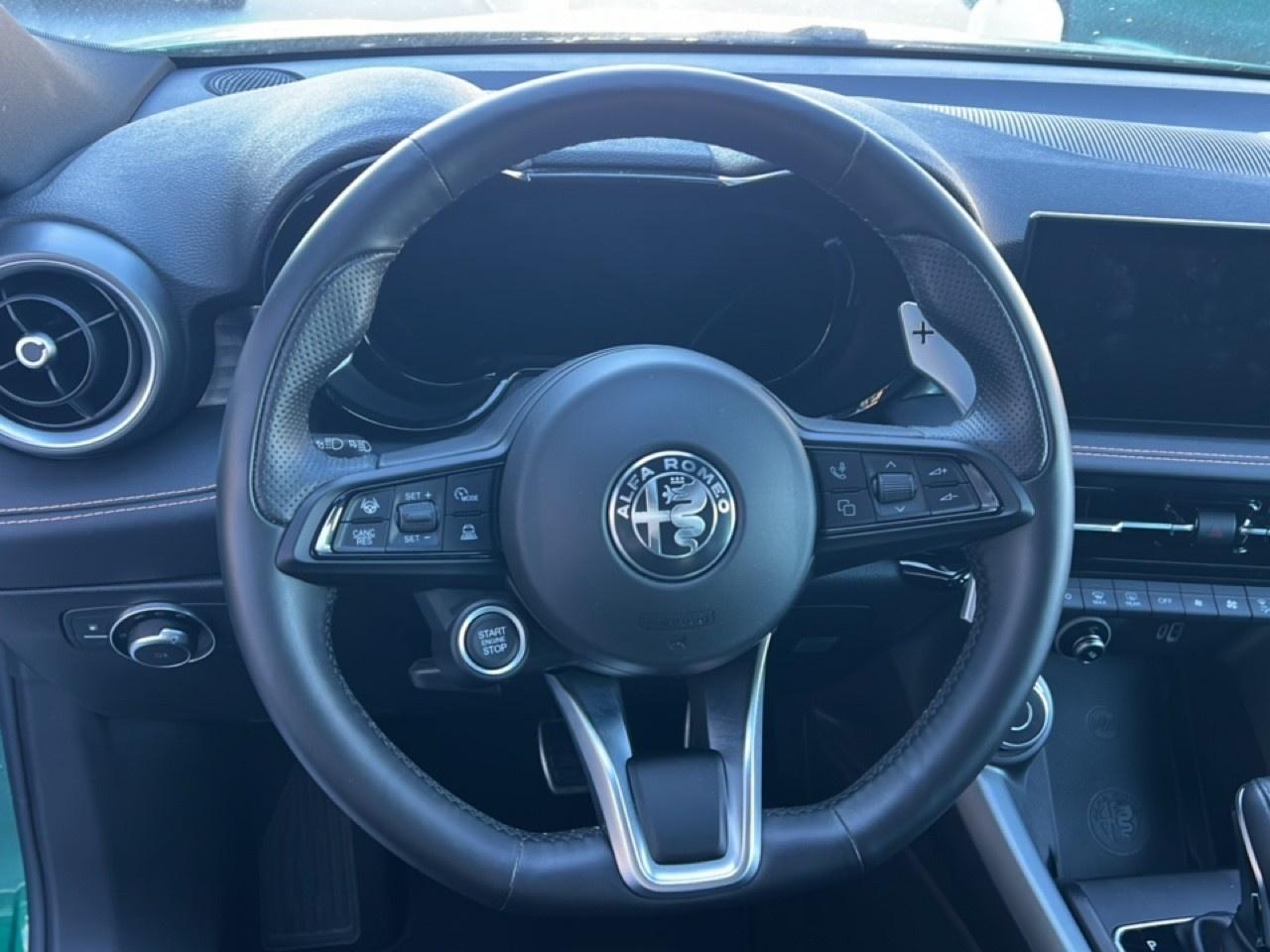 Alfa Romeo Alfa Romeo Tonale usata 21