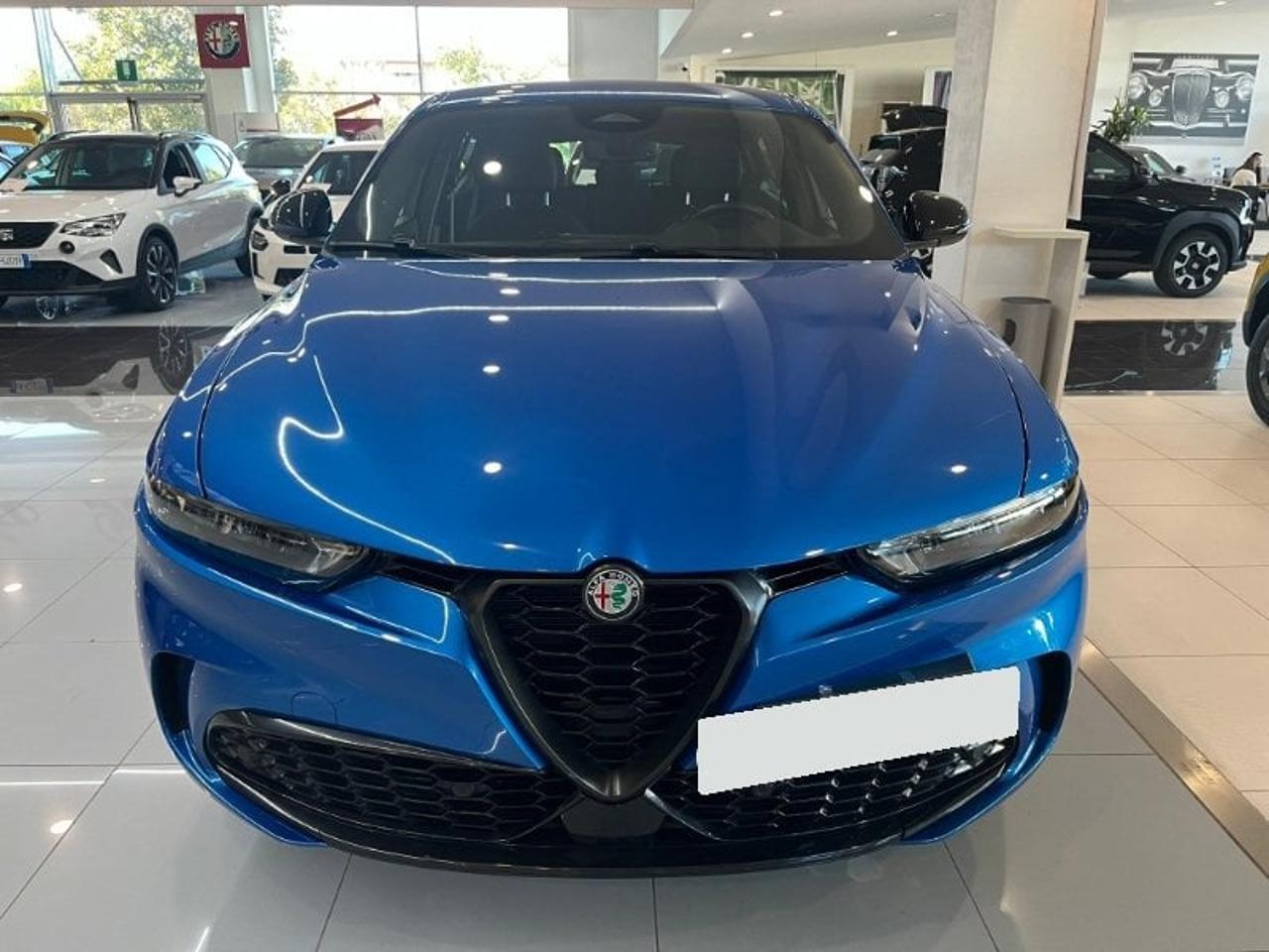 Alfa Romeo Alfa Romeo Tonale usata 11