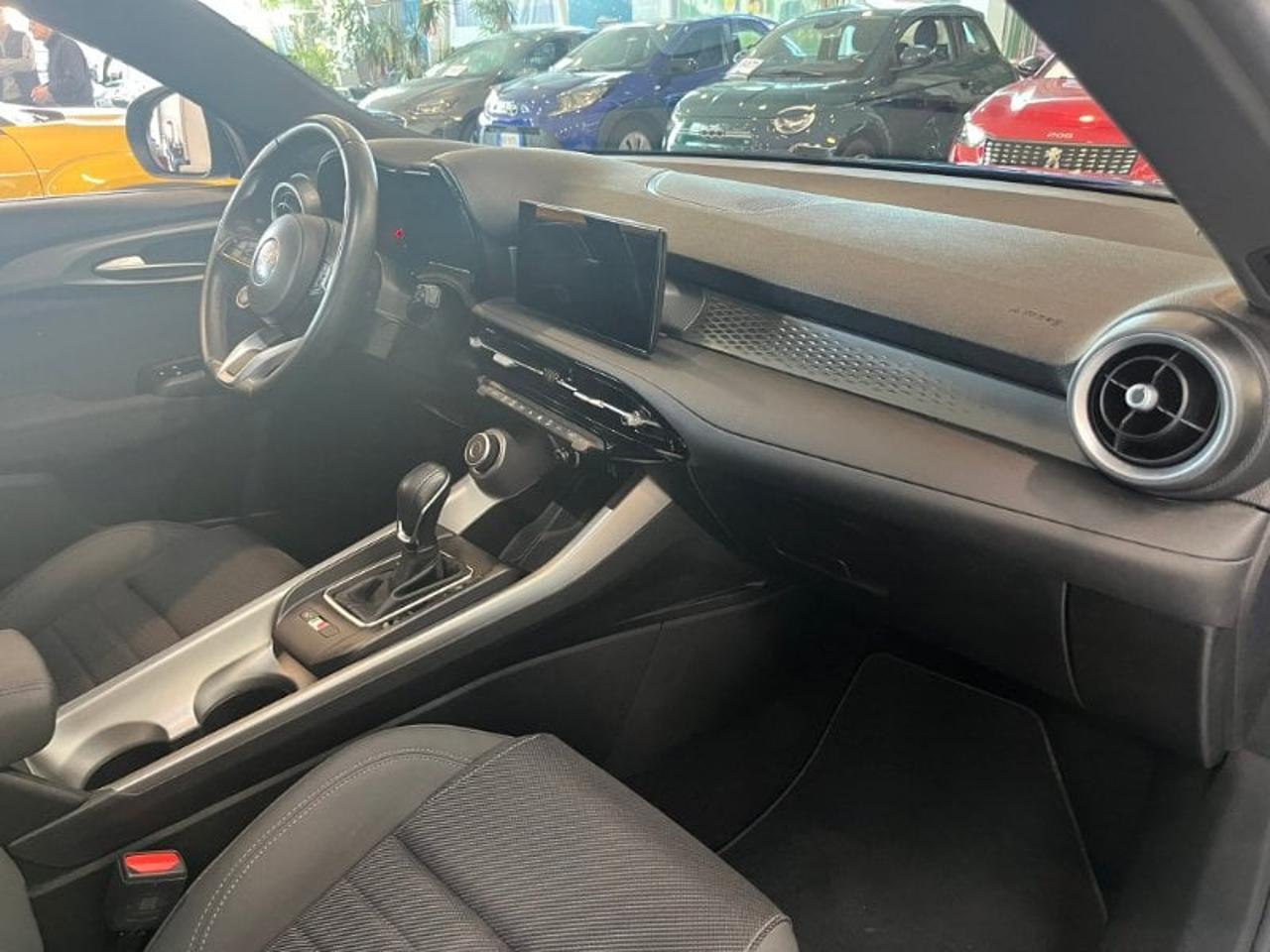 Alfa Romeo Alfa Romeo Tonale usata 19