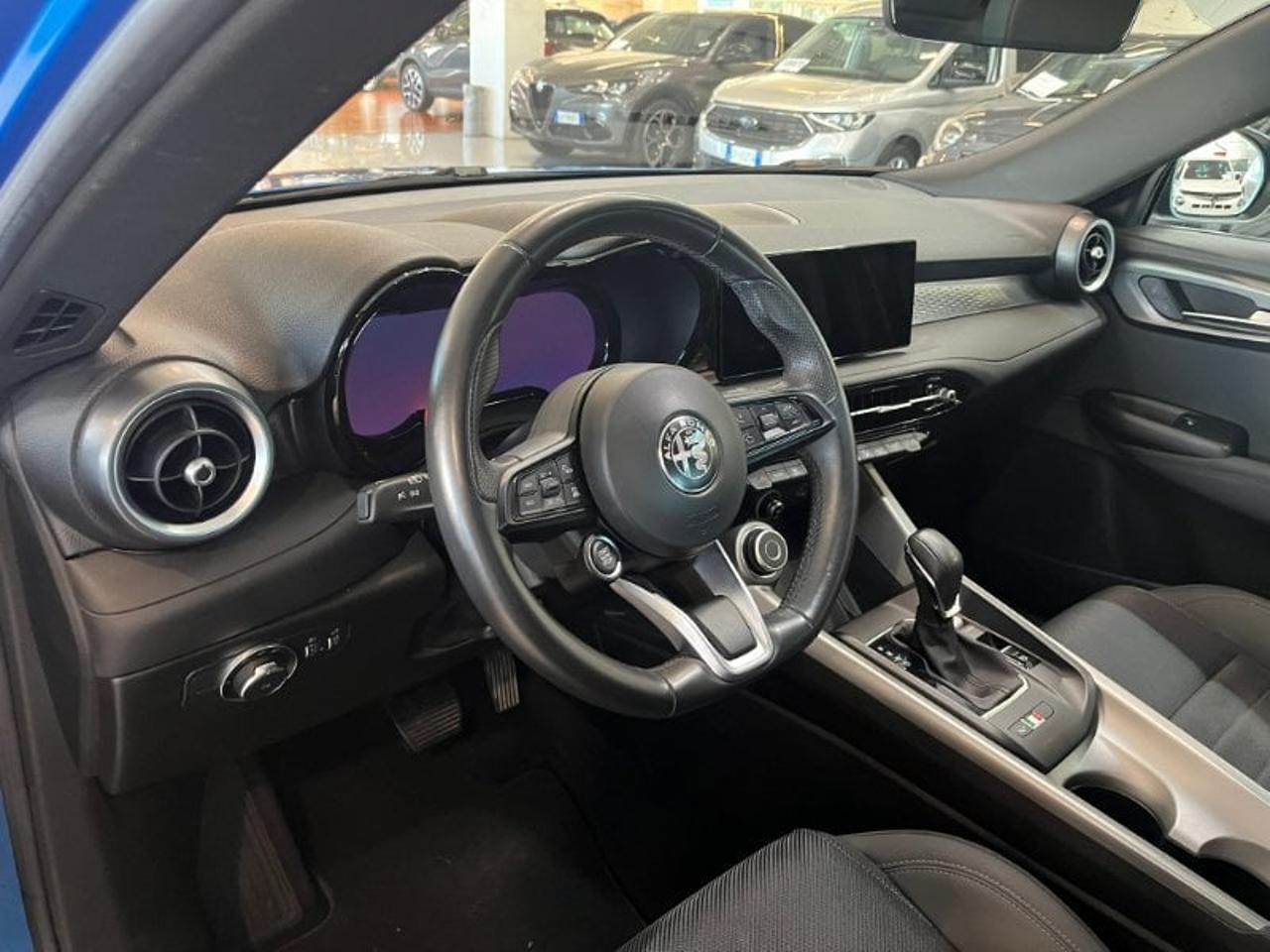 Alfa Romeo Alfa Romeo Tonale usata 20