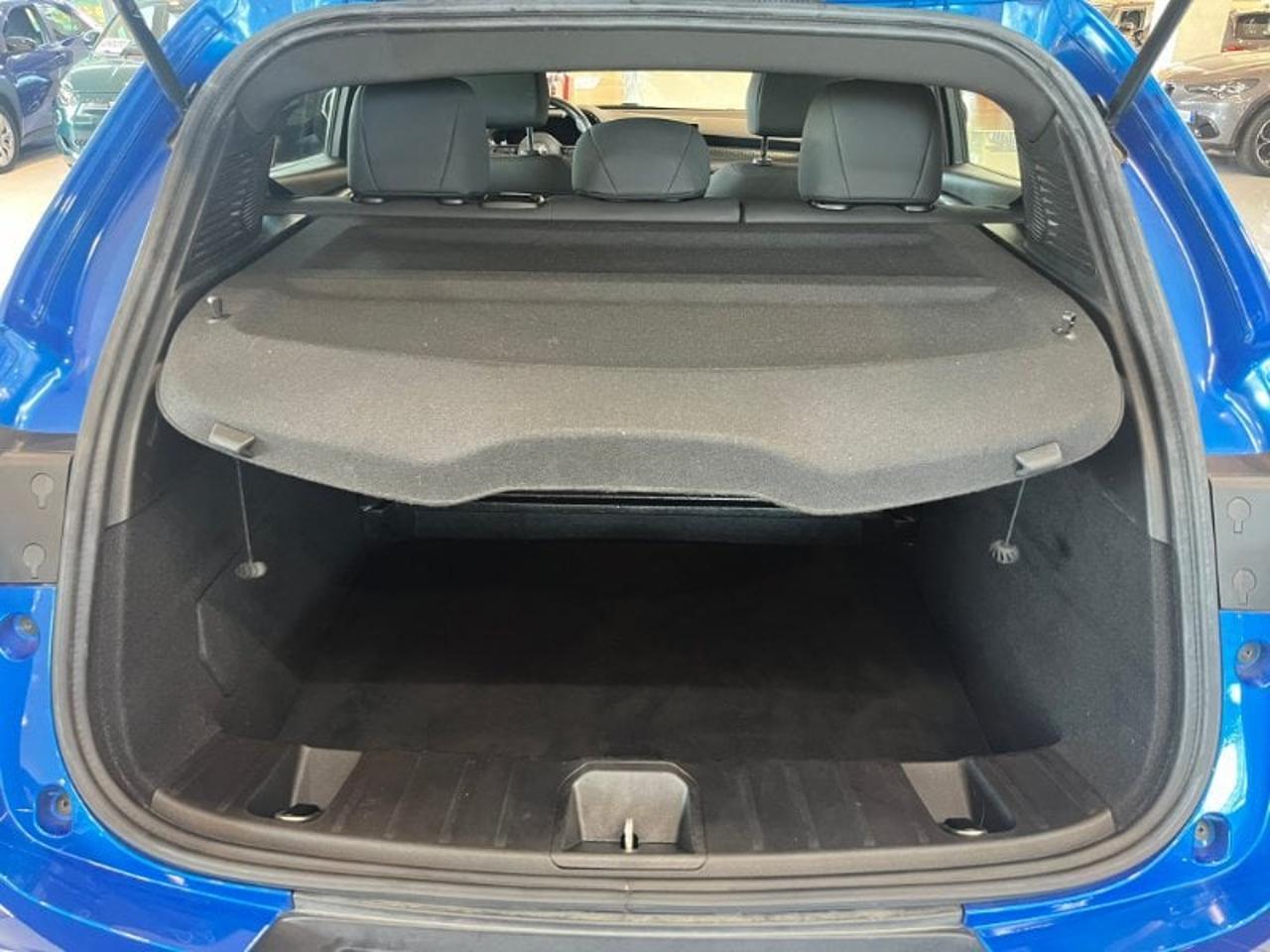 Alfa Romeo Alfa Romeo Tonale usata 23