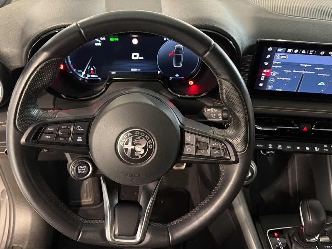 Alfa Romeo Alfa Romeo Tonale usata 13