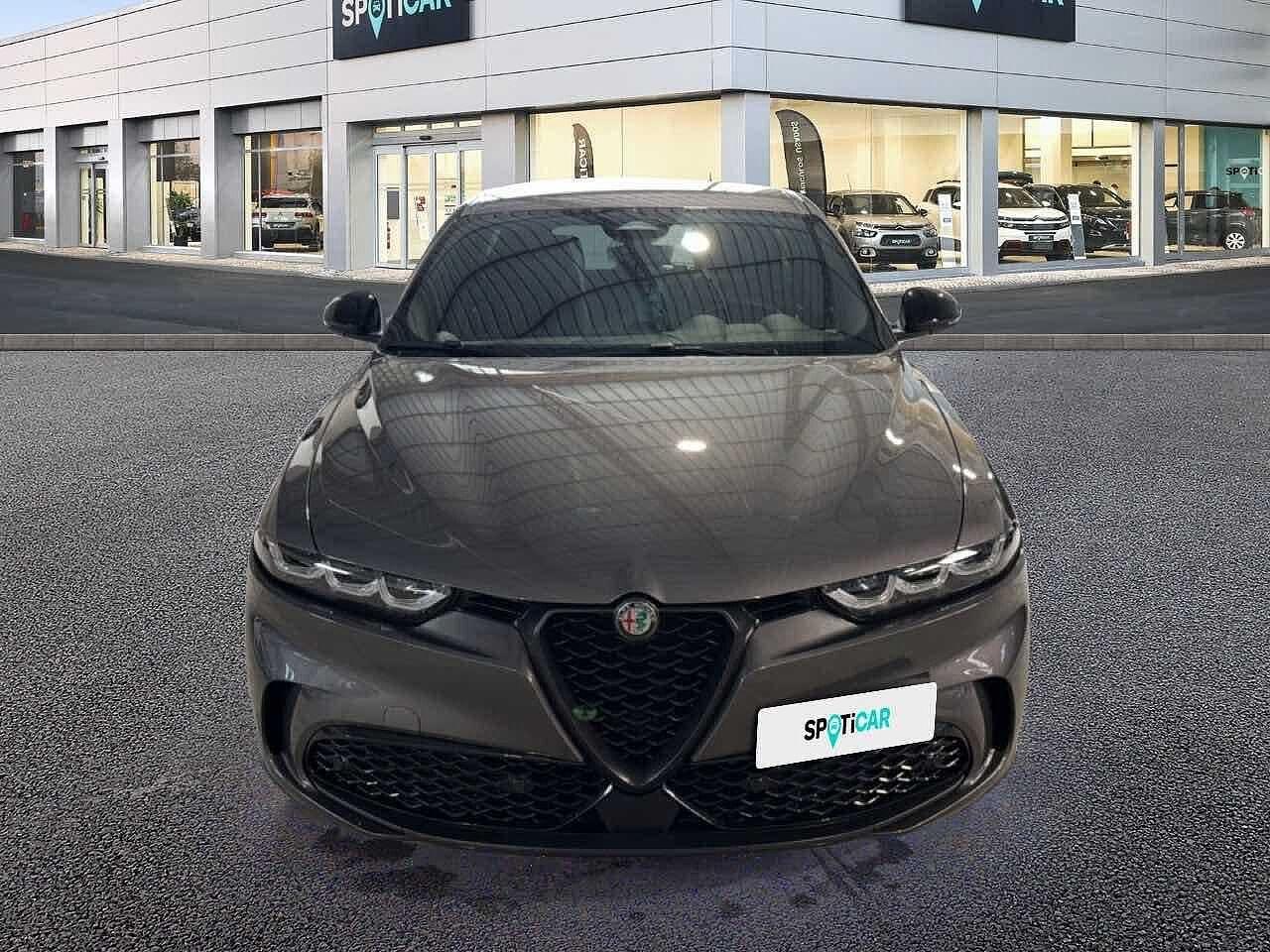 Alfa Romeo Alfa Romeo Tonale usata 15