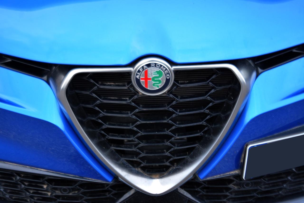 Alfa Romeo Alfa Romeo Tonale usata 13