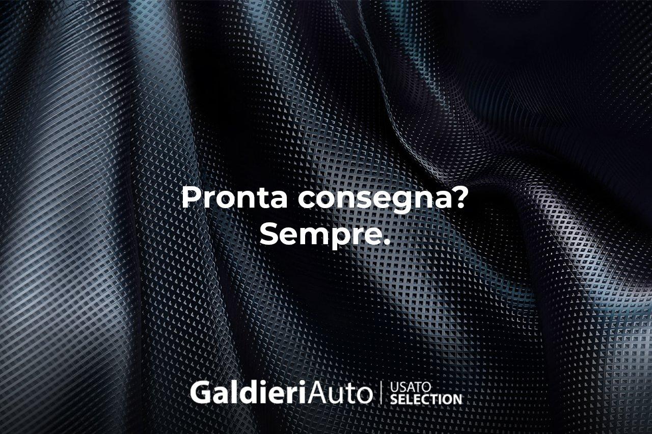 Alfa Romeo Alfa Romeo Tonale usata 13