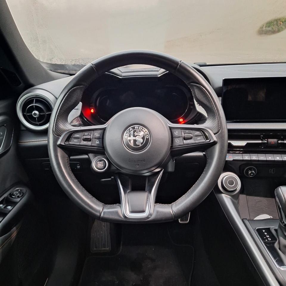 Alfa Romeo Alfa Romeo Tonale usata 21