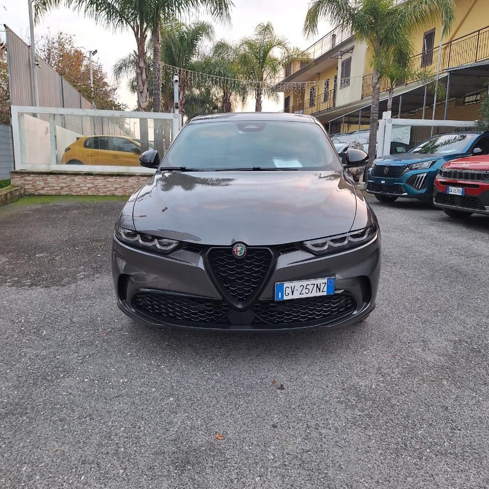 Alfa Romeo Alfa Romeo Tonale usata 22