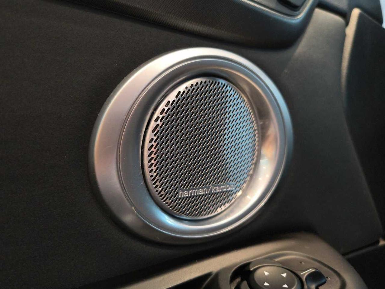 Alfa Romeo Alfa Romeo Tonale usata 8