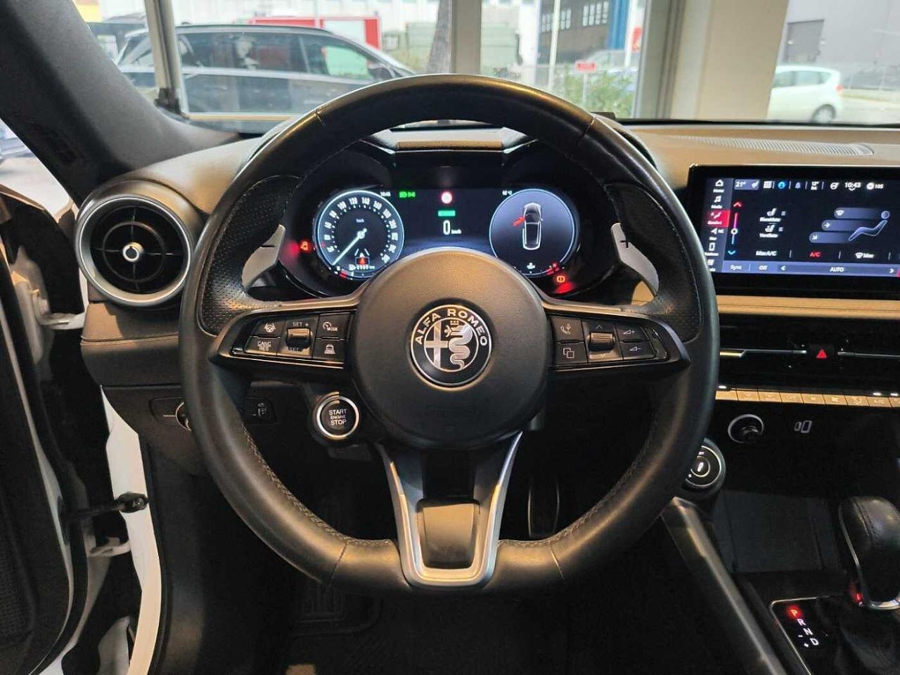 Alfa Romeo Alfa Romeo Tonale usata 12