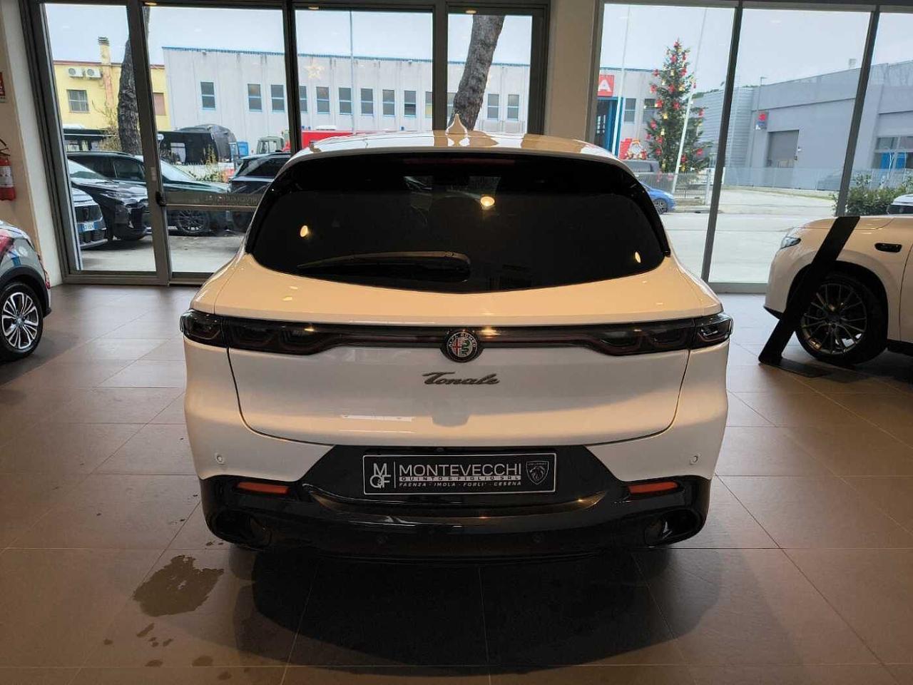 Alfa Romeo Alfa Romeo Tonale usata 15