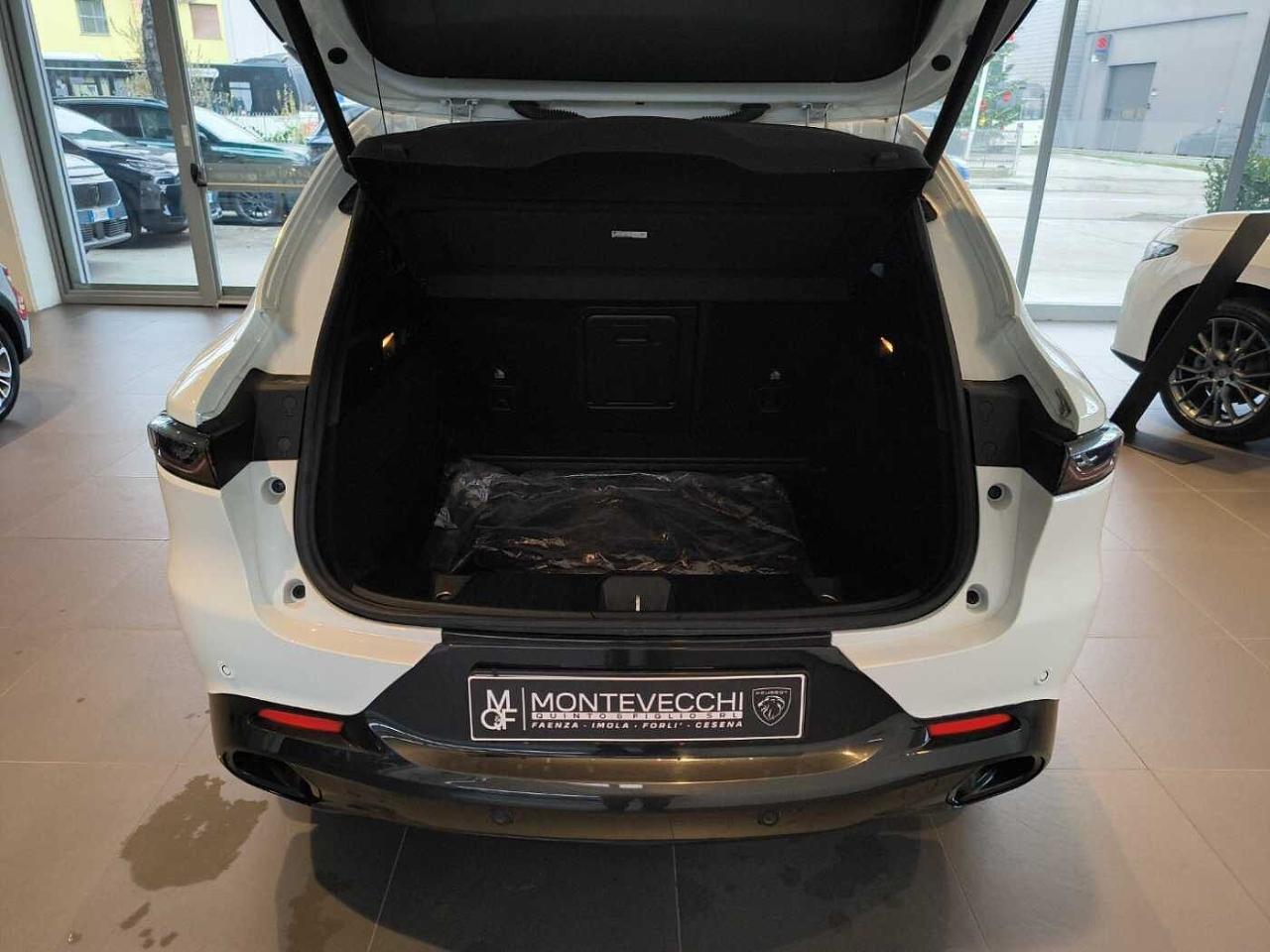 Alfa Romeo Alfa Romeo Tonale usata 16