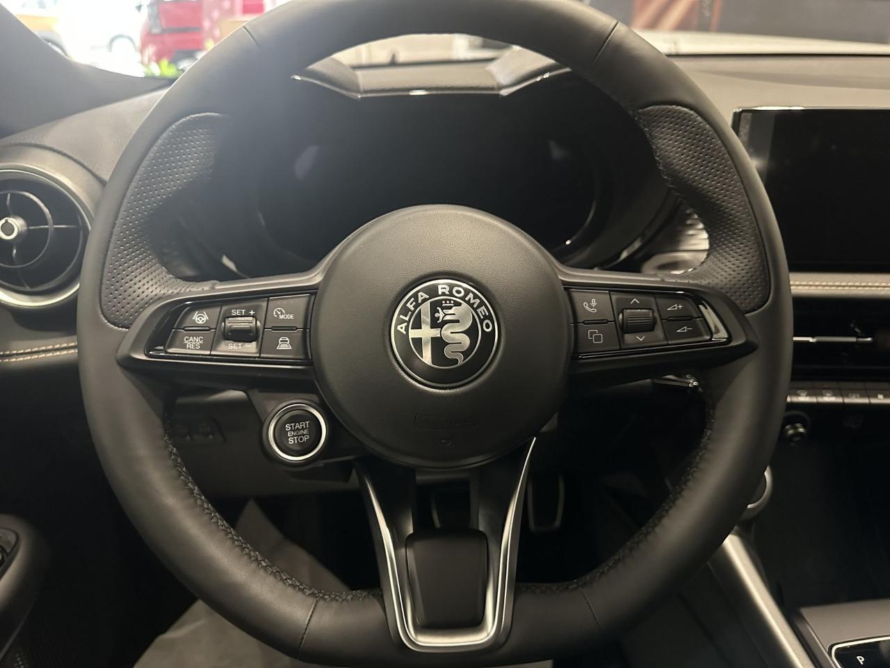 Alfa Romeo Alfa Romeo Tonale usata 3