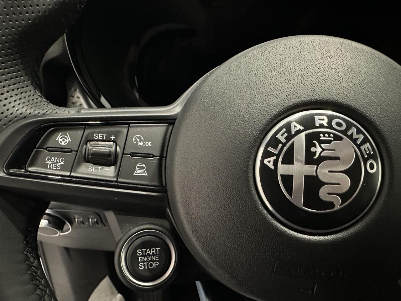 Alfa Romeo Alfa Romeo Tonale usata 4