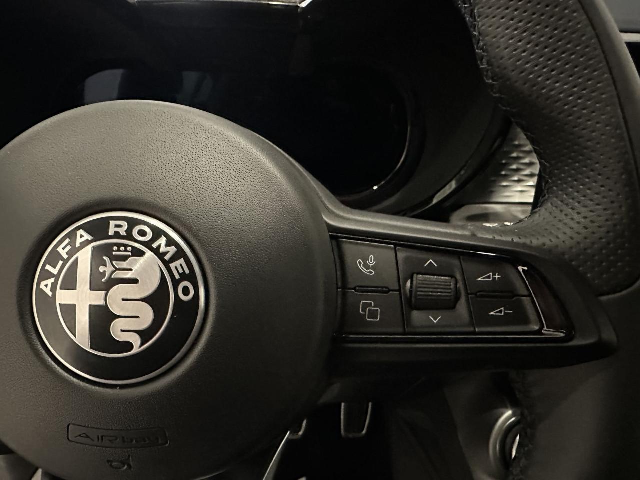 Alfa Romeo Alfa Romeo Tonale usata 5