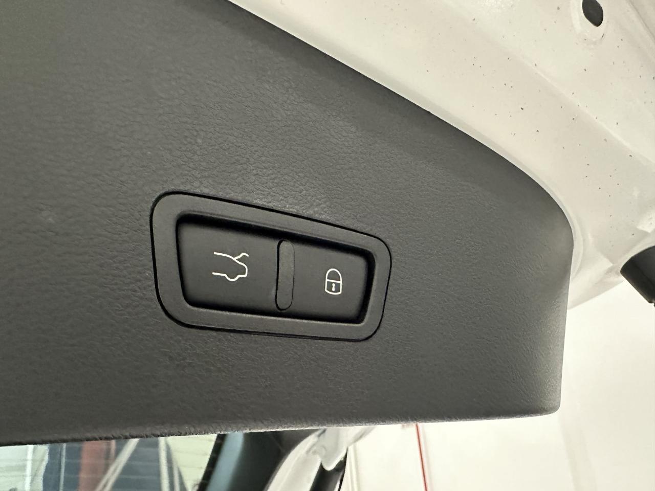 Alfa Romeo Alfa Romeo Tonale usata 12