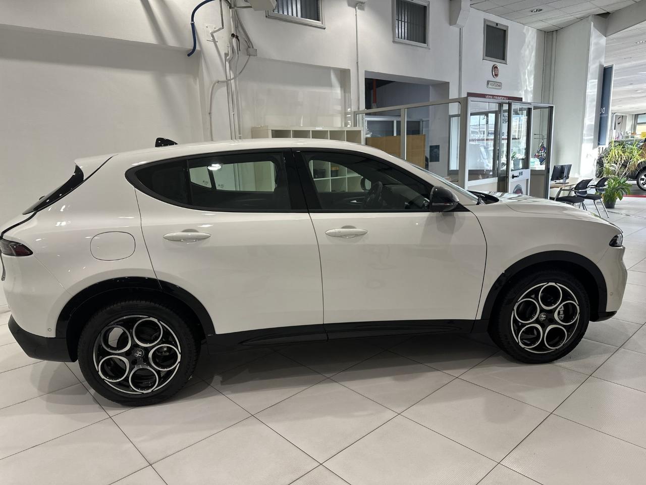 Alfa Romeo Alfa Romeo Tonale usata 15