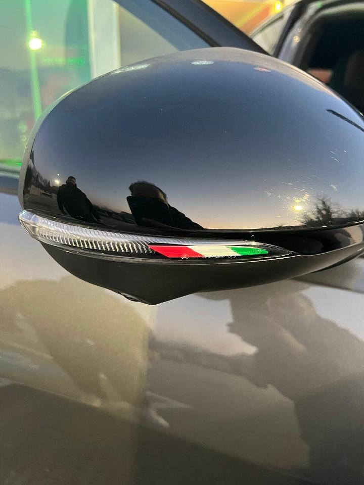 Alfa Romeo Alfa Romeo Tonale usata 10