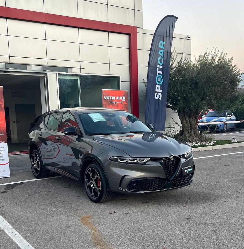 Alfa Romeo Alfa Romeo Tonale usata 11