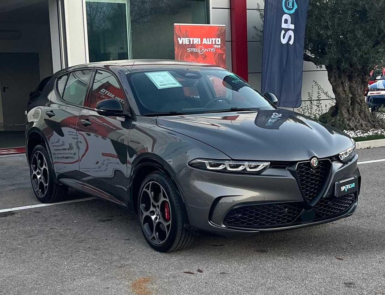 Alfa Romeo Alfa Romeo Tonale usata 18