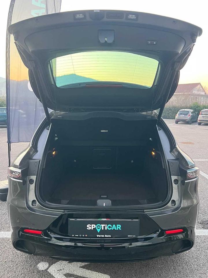 Alfa Romeo Alfa Romeo Tonale usata 19