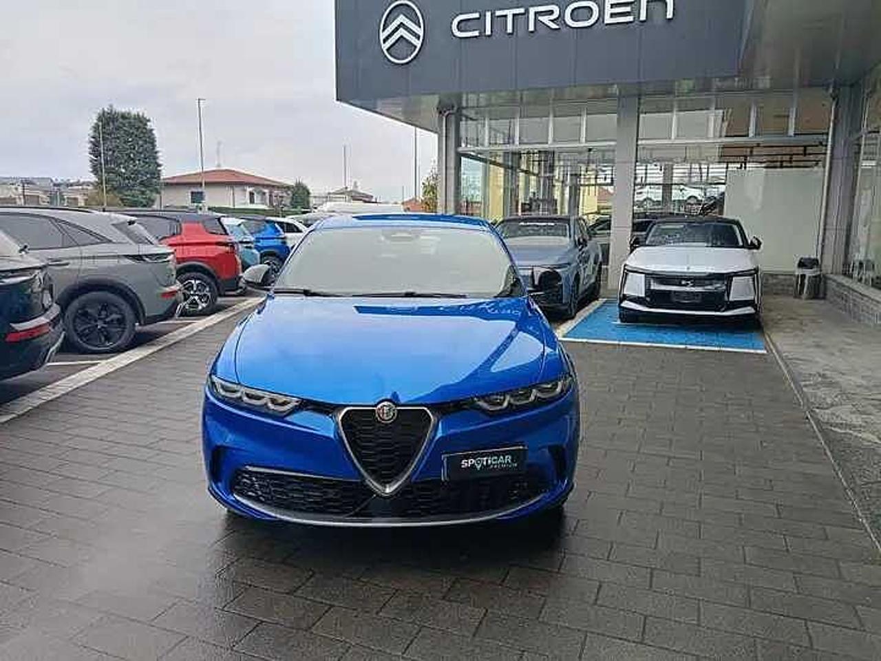 Alfa Romeo Alfa Romeo Tonale usata 7