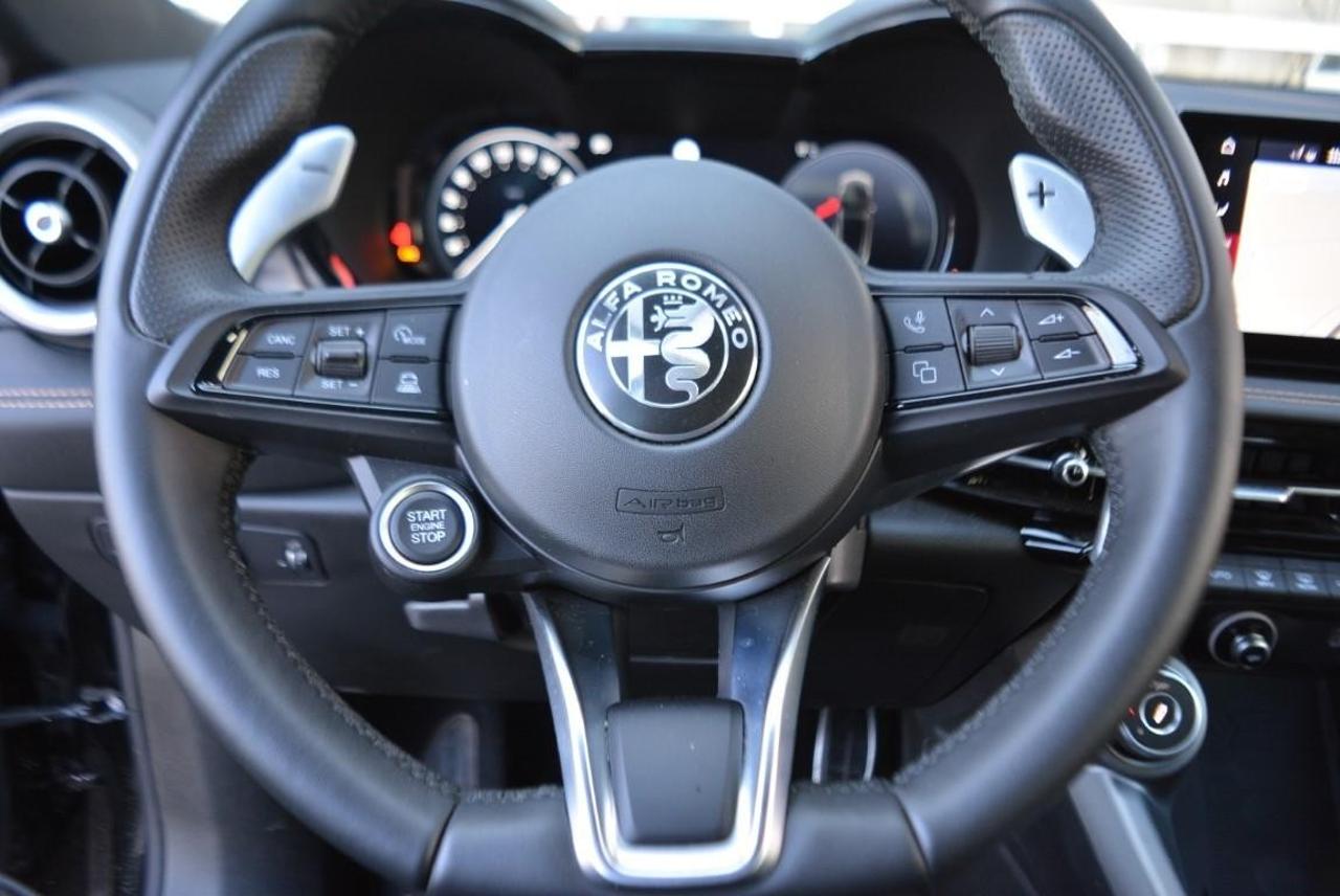 Alfa Romeo Alfa Romeo Tonale usata 7
