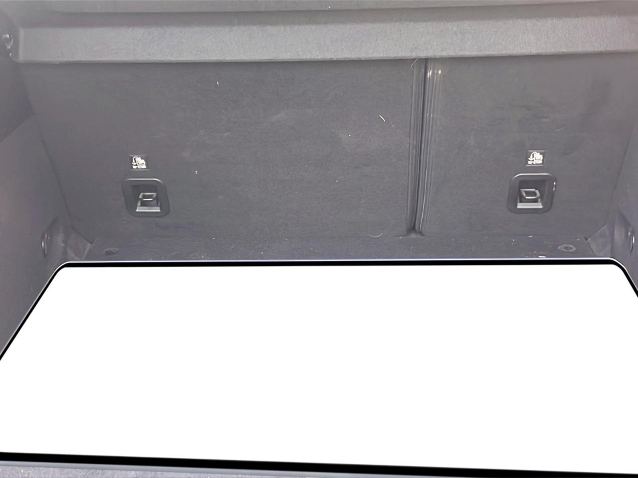 Alfa Romeo Alfa Romeo Tonale usata 1