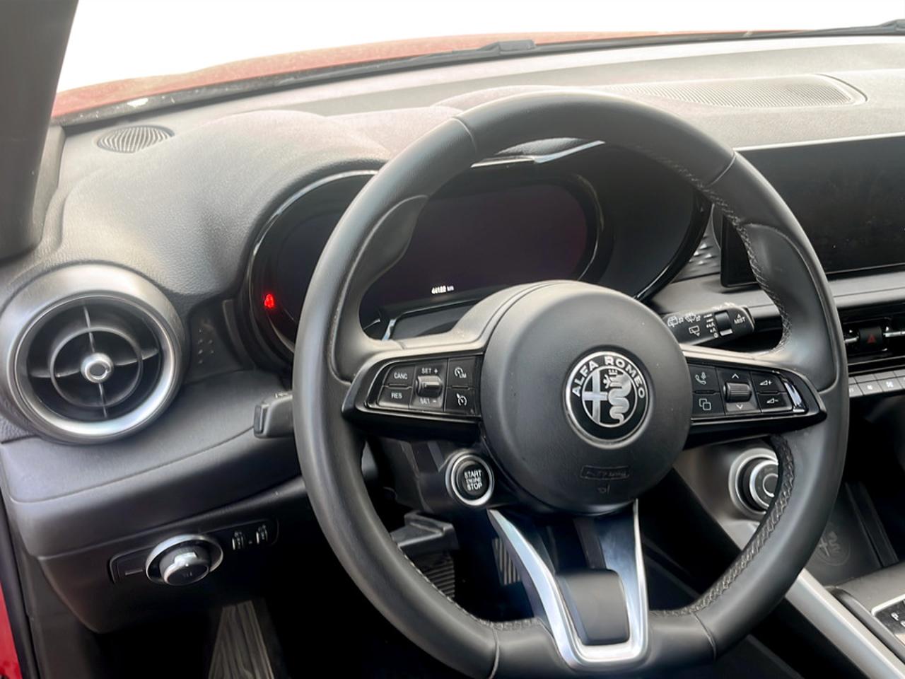 Alfa Romeo Alfa Romeo Tonale usata 7