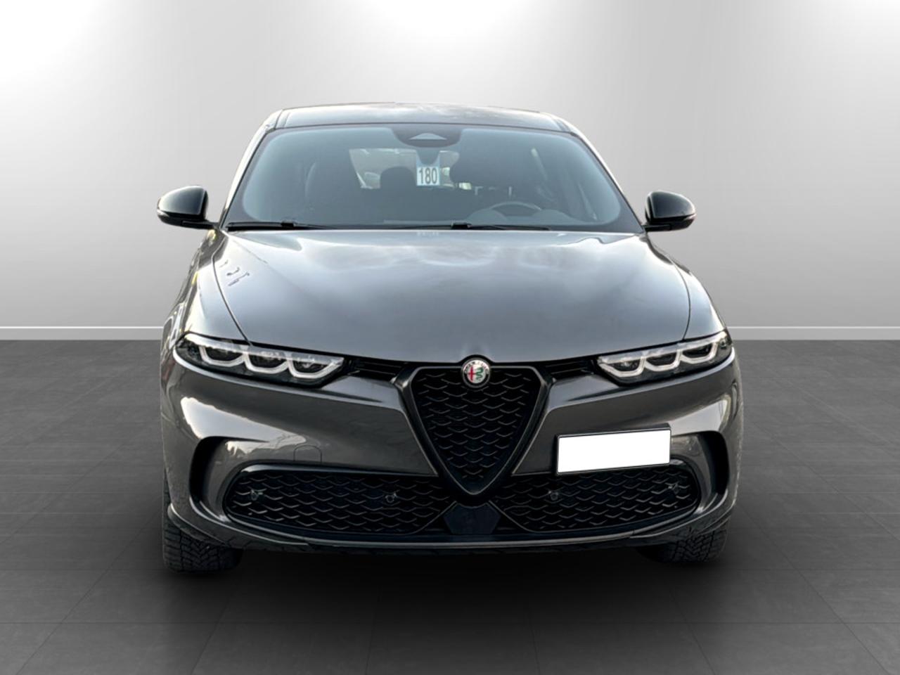 Alfa Romeo Alfa Romeo Tonale usata 14