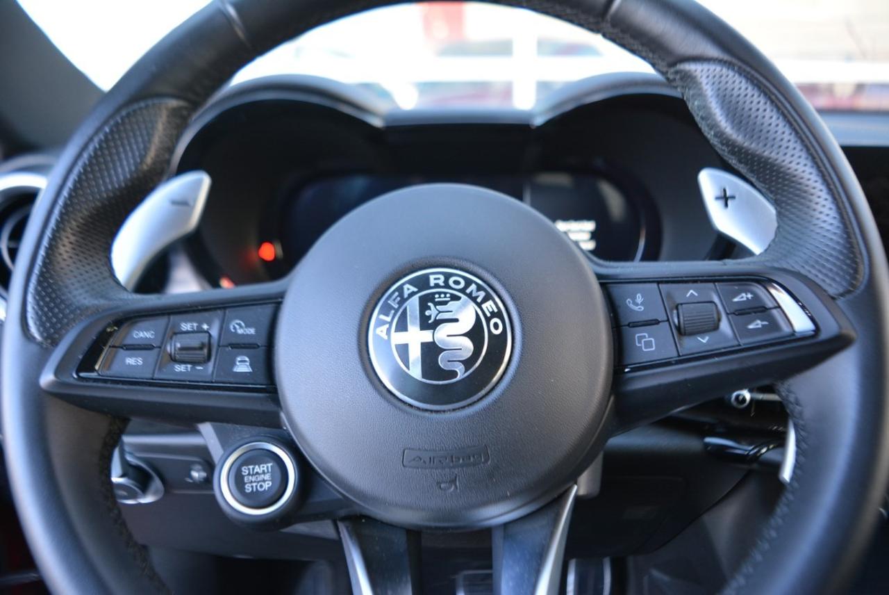Alfa Romeo Alfa Romeo Tonale usata 7