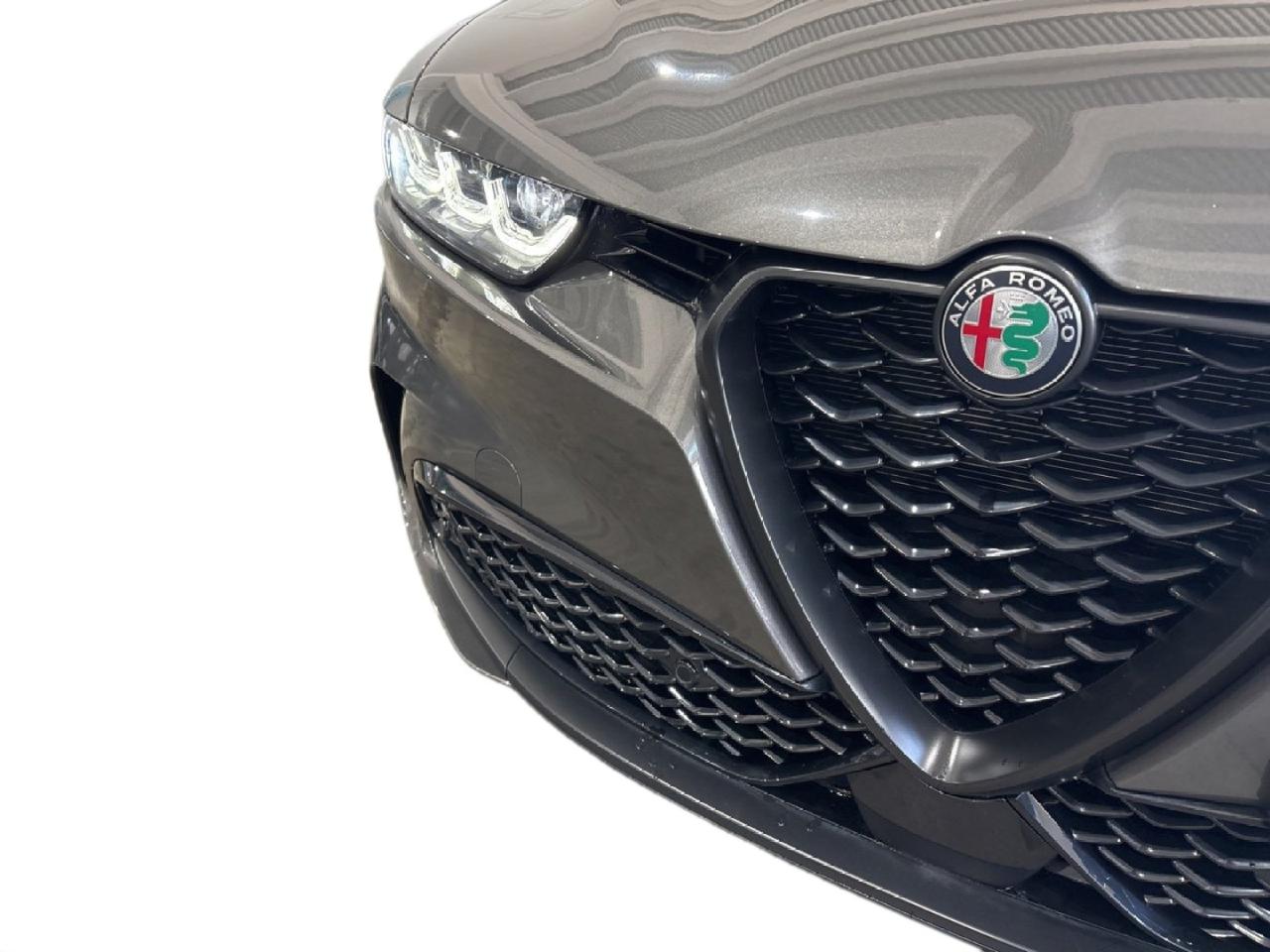 Alfa Romeo Alfa Romeo Tonale usata 7