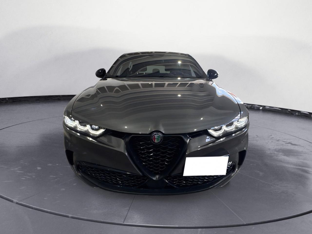 Alfa Romeo Alfa Romeo Tonale usata 24