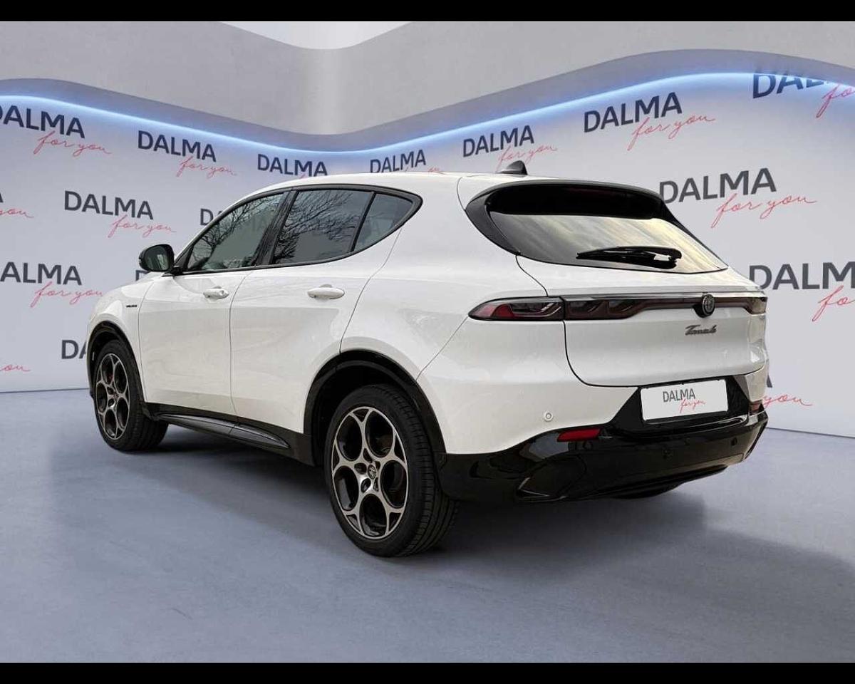 Alfa Romeo Alfa Romeo Tonale usata 14