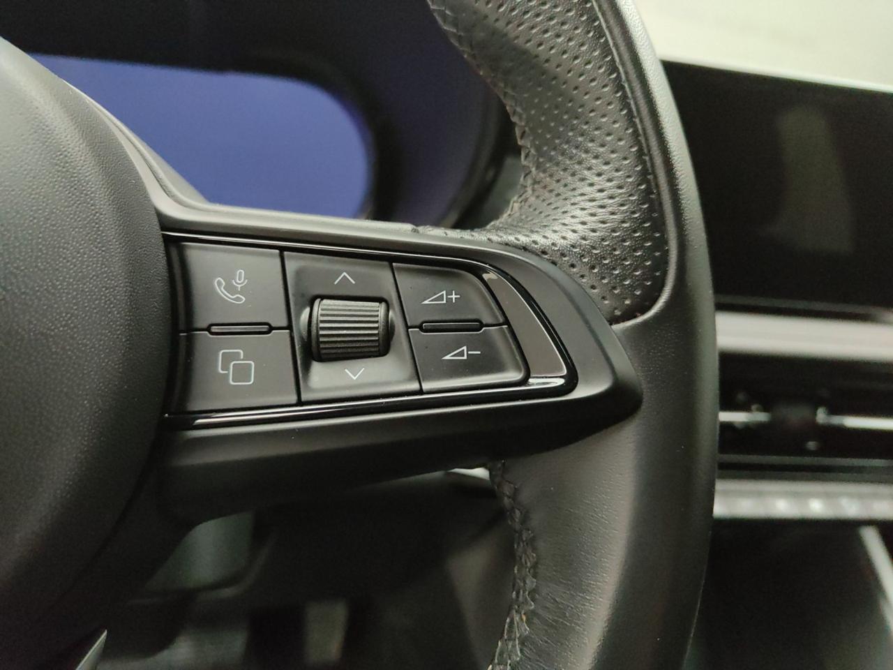 Alfa Romeo Alfa Romeo Tonale usata 8