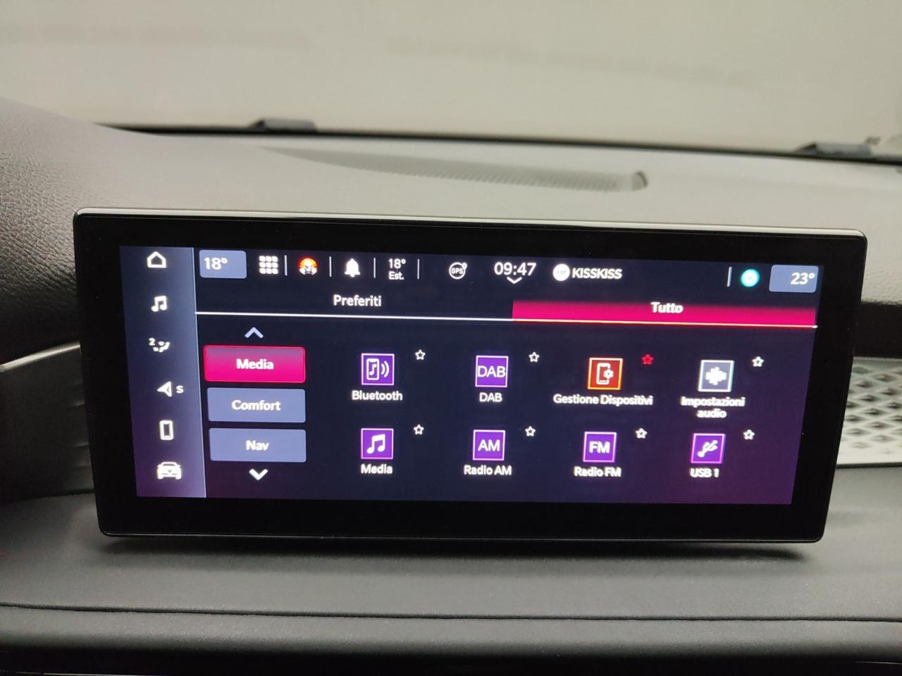 Alfa Romeo Alfa Romeo Tonale usata 15