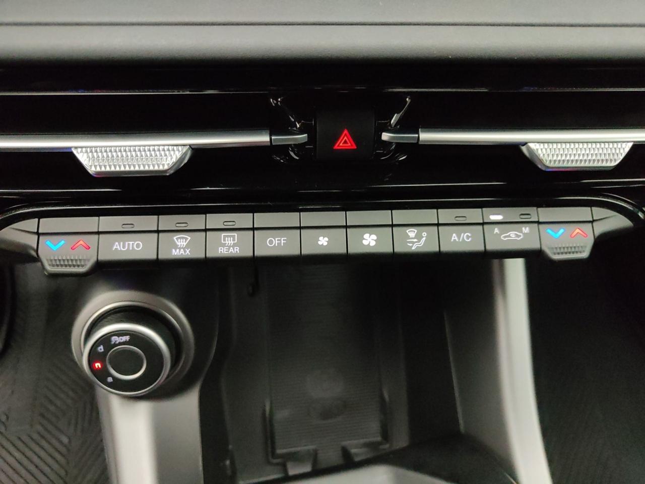 Alfa Romeo Alfa Romeo Tonale usata 17