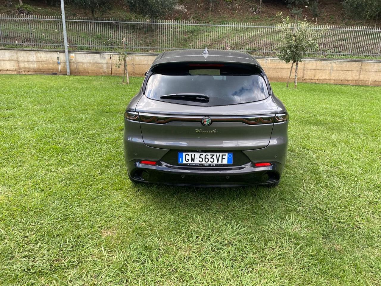 Alfa Romeo Alfa Romeo Tonale usata 2