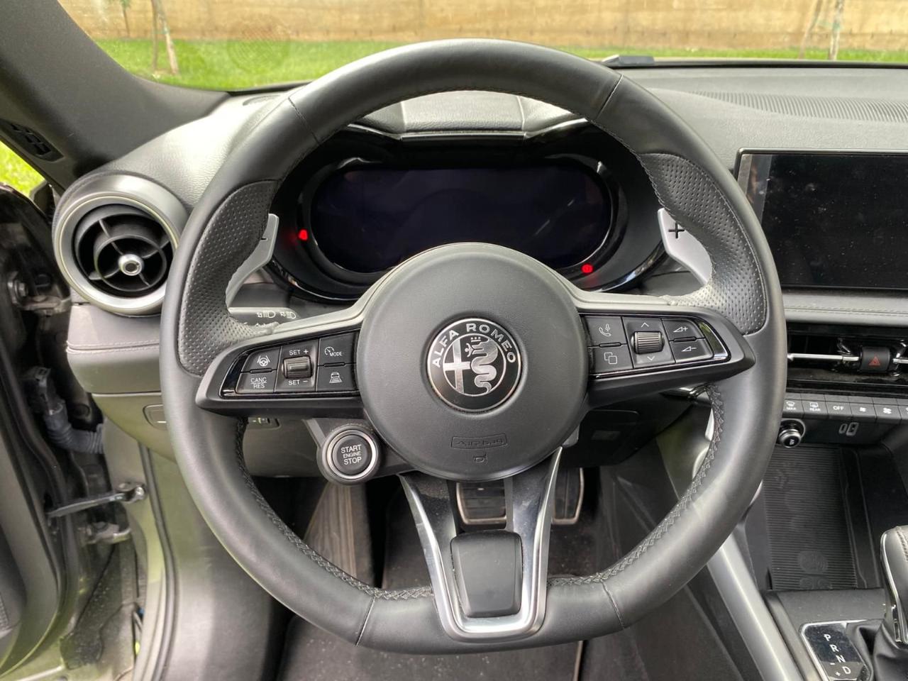 Alfa Romeo Alfa Romeo Tonale usata 13