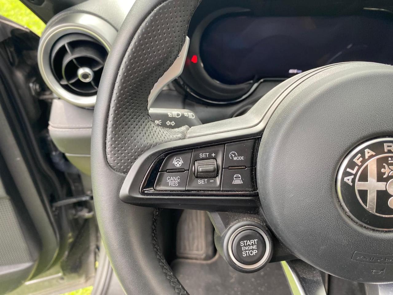 Alfa Romeo Alfa Romeo Tonale usata 14