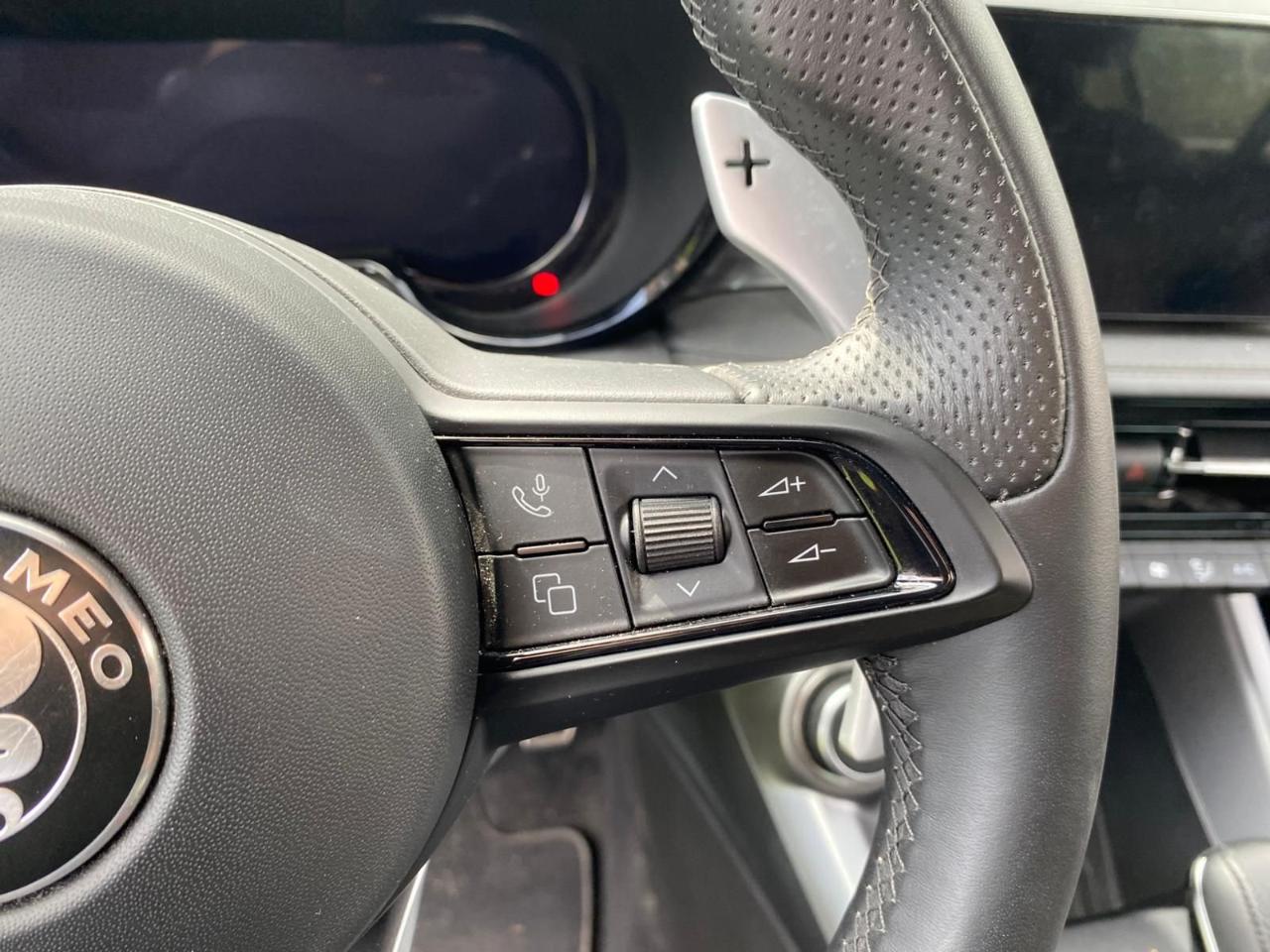 Alfa Romeo Alfa Romeo Tonale usata 15