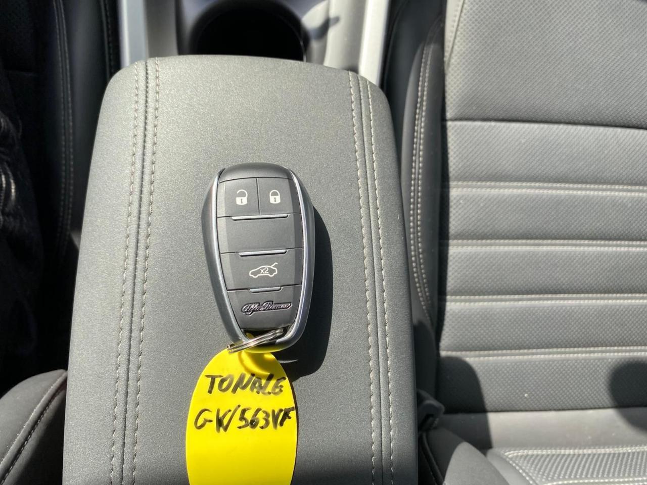 Alfa Romeo Alfa Romeo Tonale usata 20