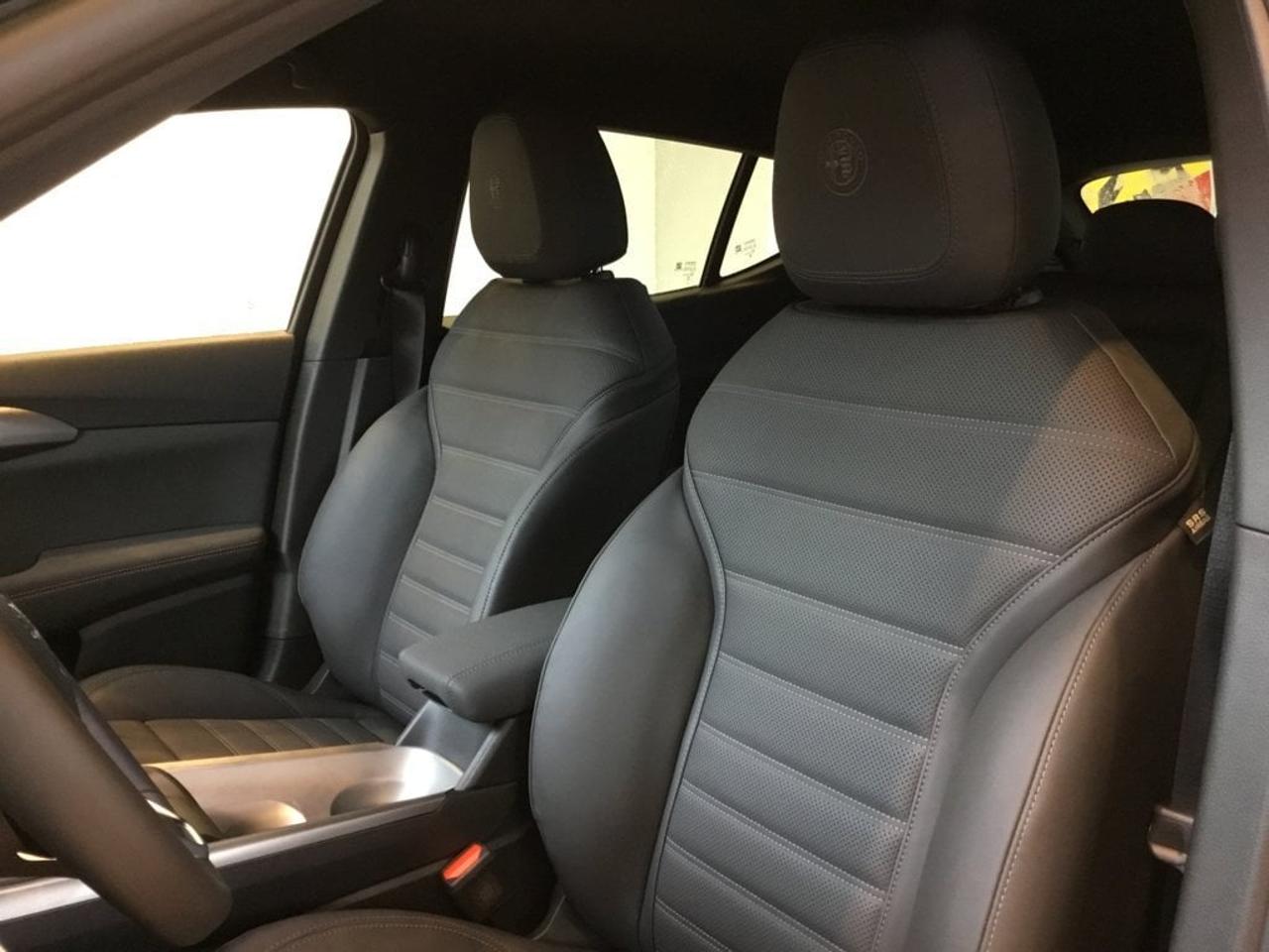 Alfa Romeo Alfa Romeo Tonale usata 4