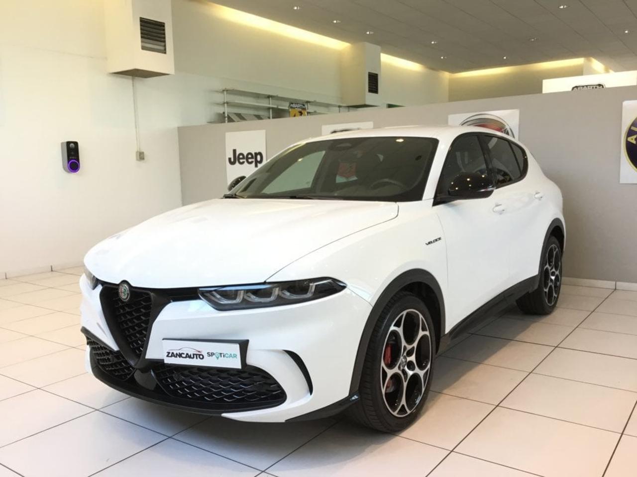 Alfa Romeo Alfa Romeo Tonale usata 9