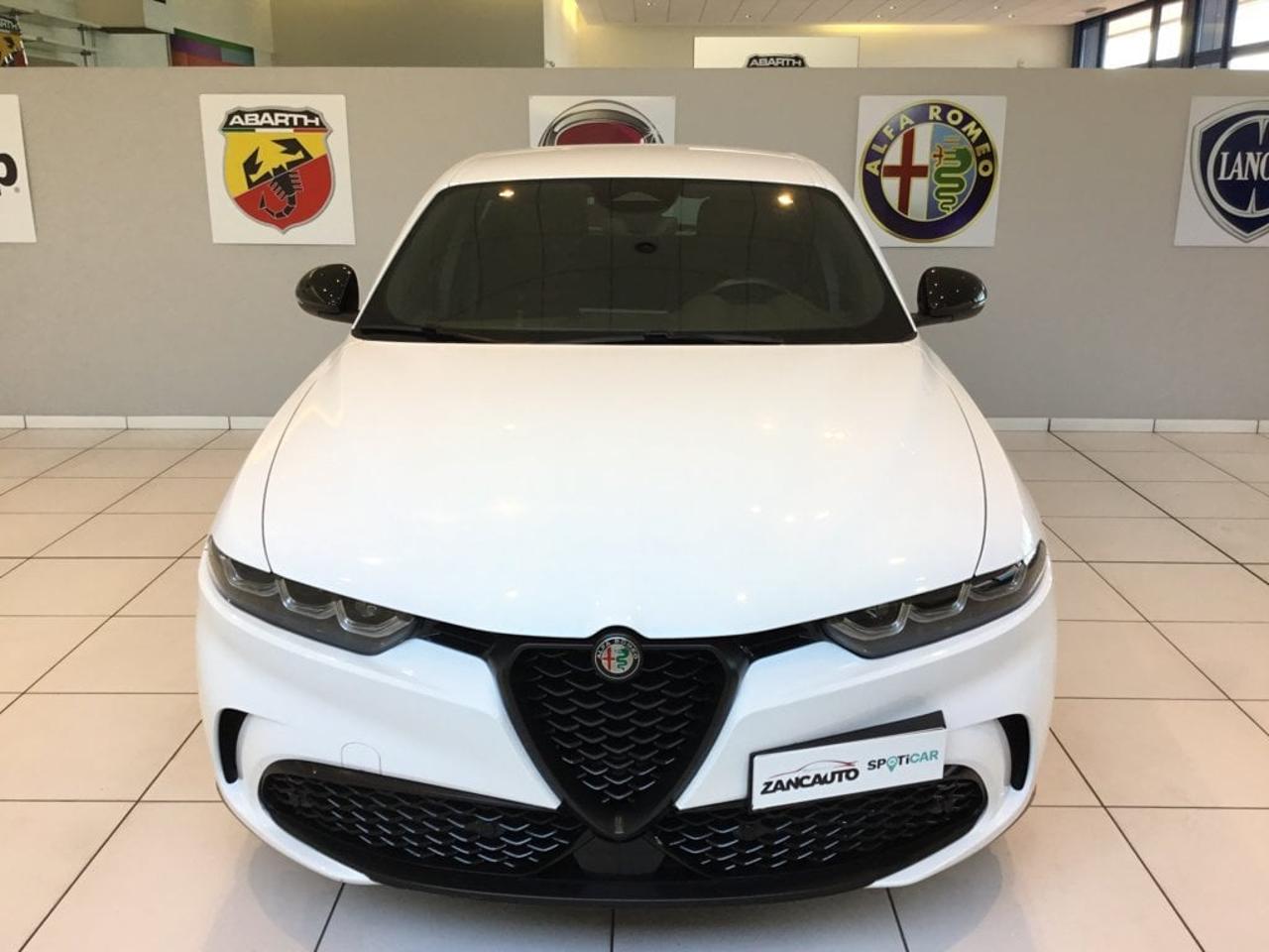 Alfa Romeo Alfa Romeo Tonale usata 10