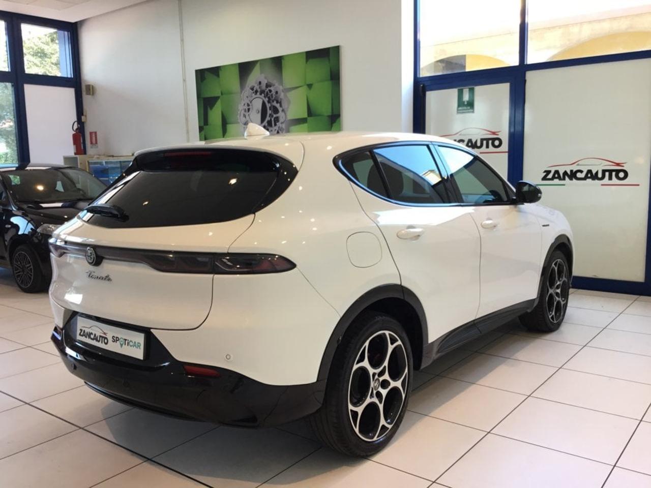 Alfa Romeo Alfa Romeo Tonale usata 12