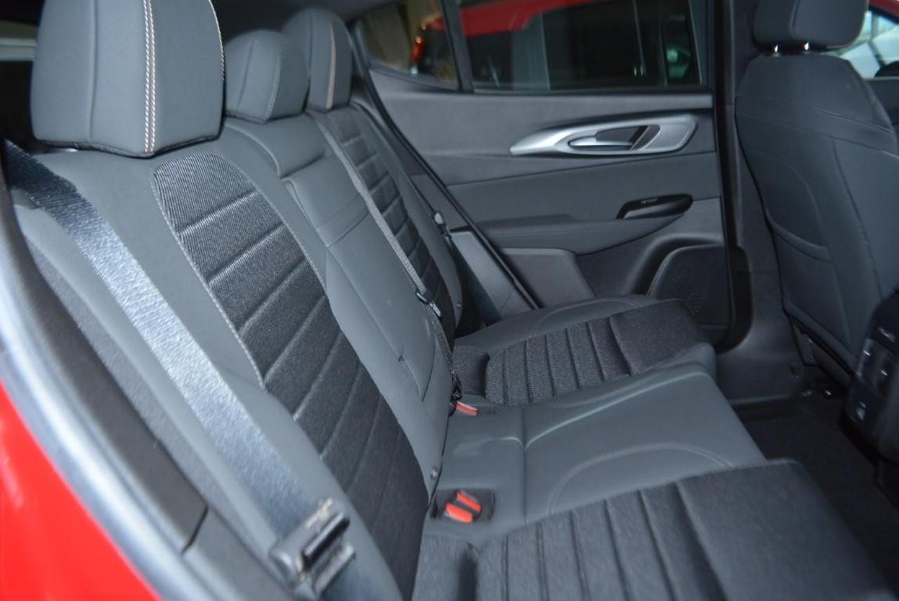 Alfa Romeo Alfa Romeo Tonale usata 21