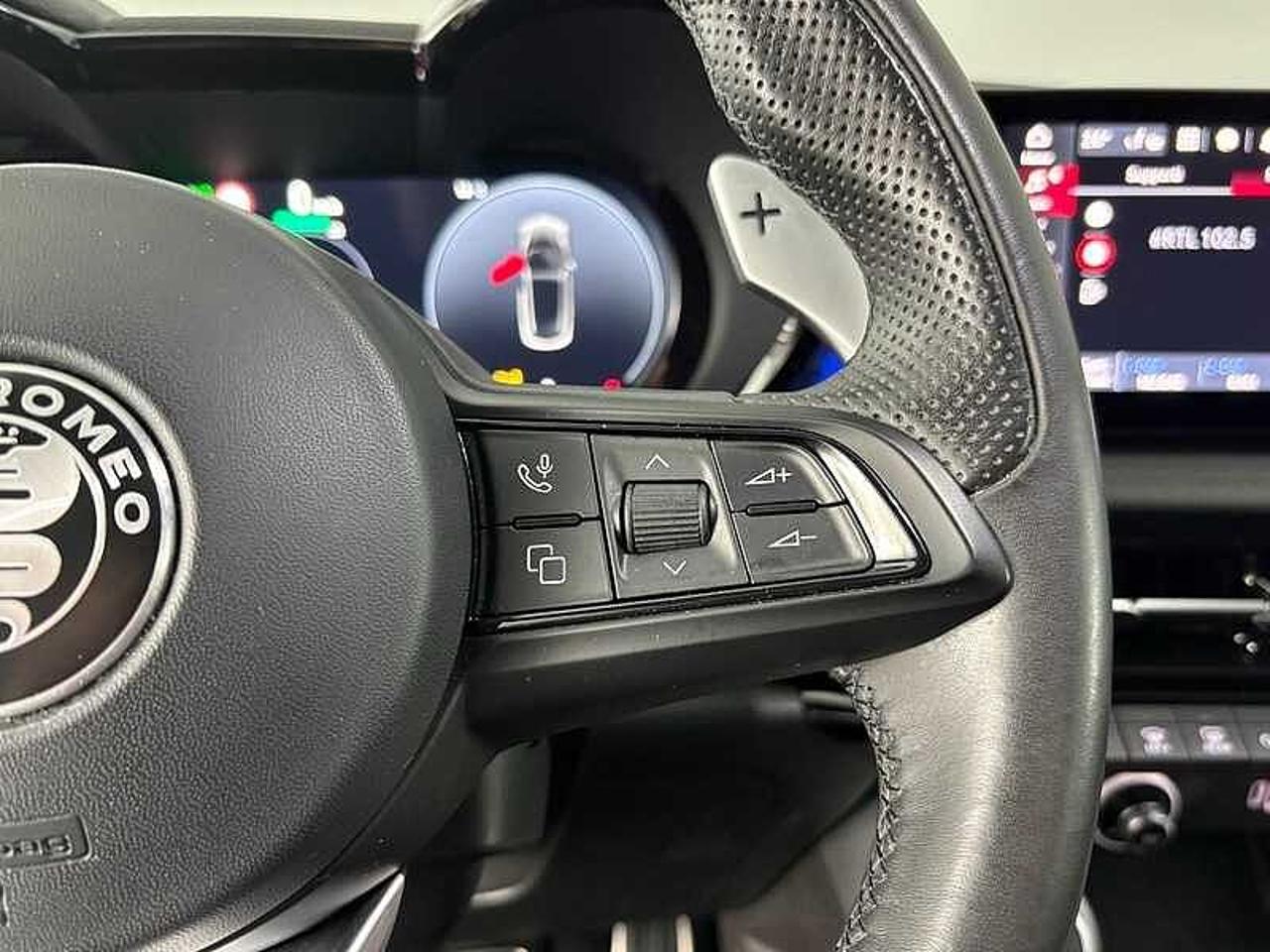 Alfa Romeo Alfa Romeo Tonale usata 5