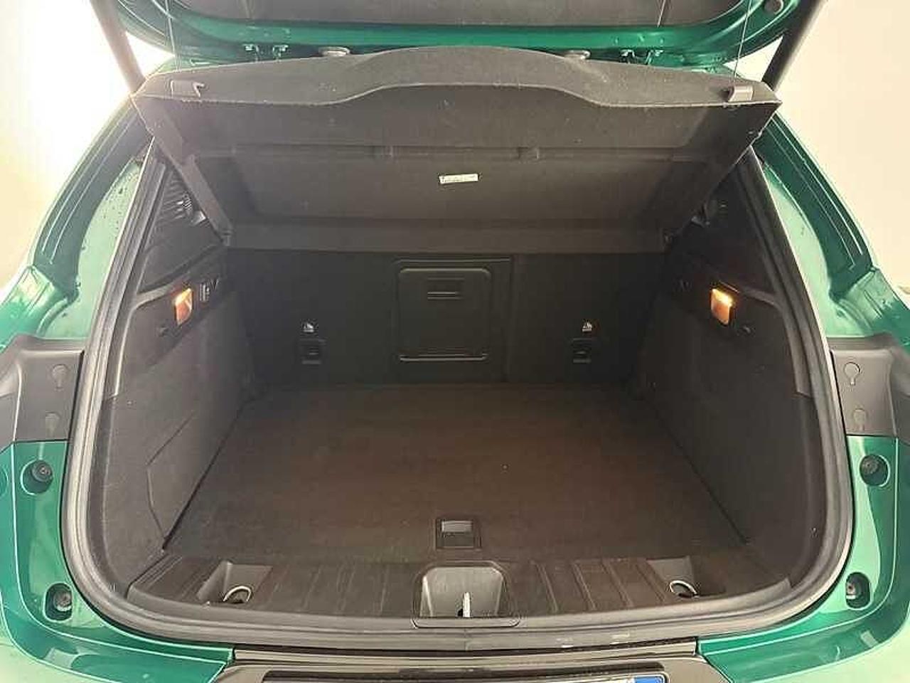 Alfa Romeo Alfa Romeo Tonale usata 15