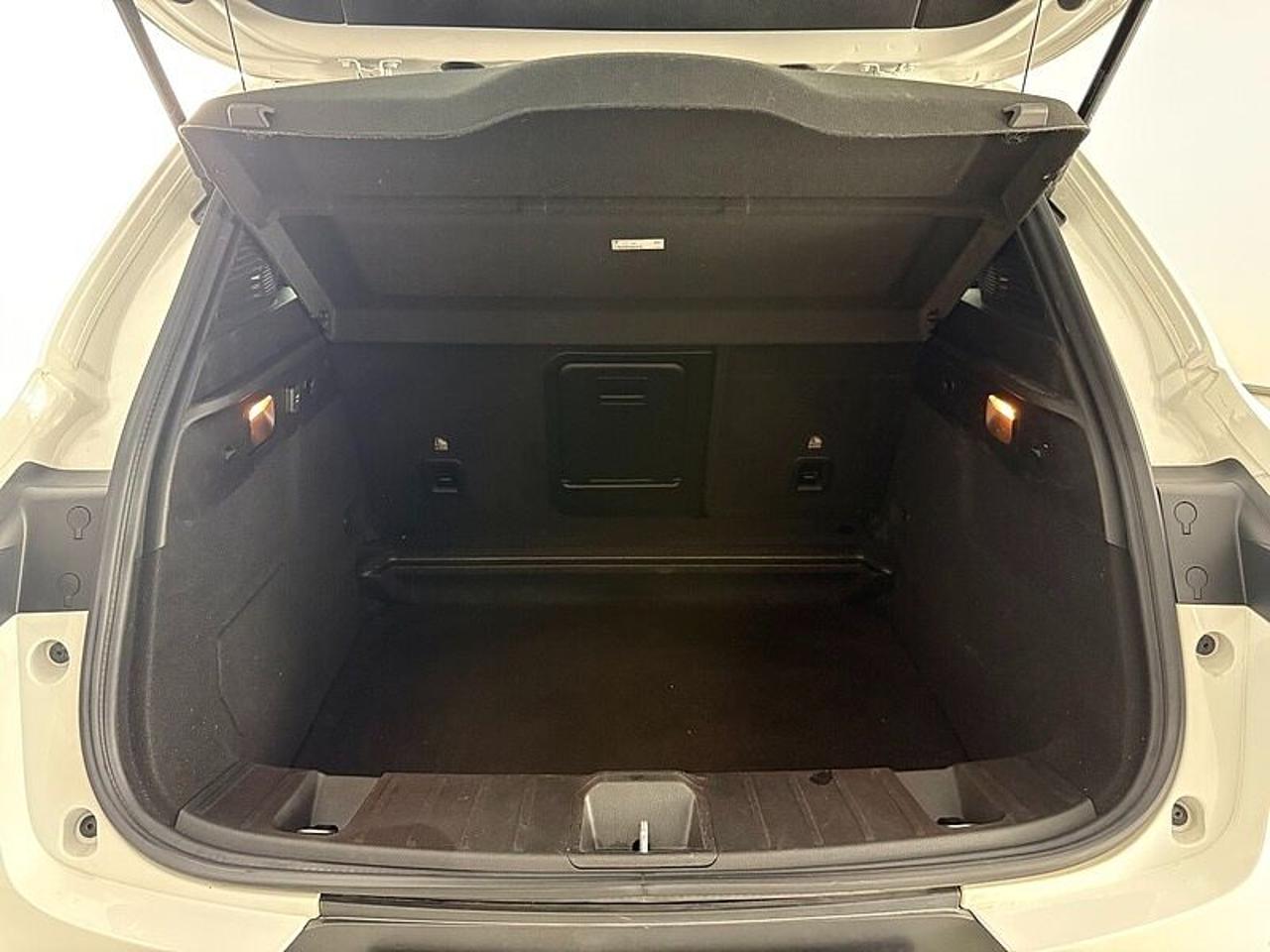 Alfa Romeo Alfa Romeo Tonale usata 14