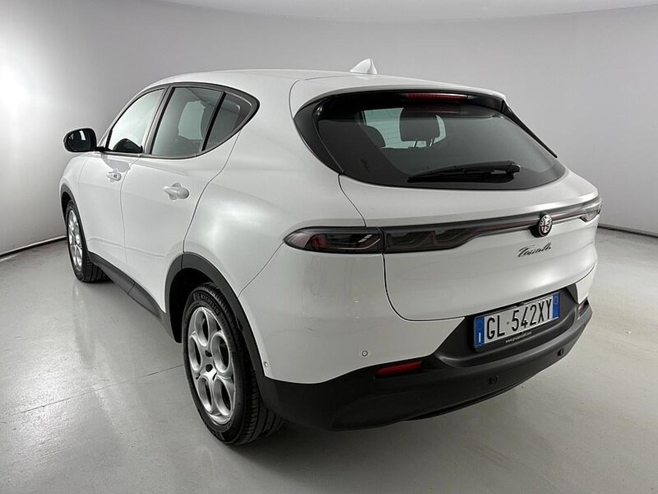 Alfa Romeo Alfa Romeo Tonale usata 17